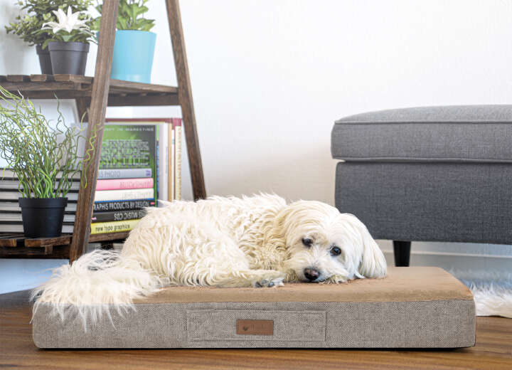 petlando Orthopädisches Kissen "Merano"